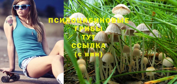 PSILOCYBIN Арсеньев
